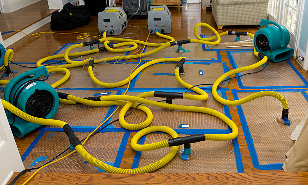 Professional Crawl Space Water Removal technician working in Newark, AR